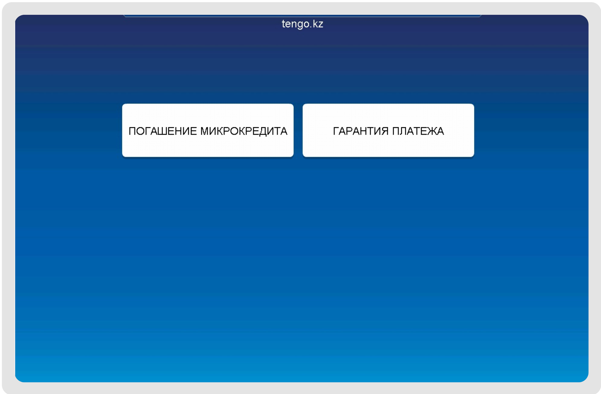 5. Выберите вид платежа - «Погашение микрокредита» или «Гарантия платежа»